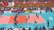 Run Save GIF by Volleyball World