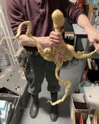 Performance Lab GIF by Alex Boya