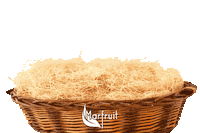 Basket Col Sticker by MARFRUIT