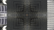 Art Video GIF by jorgemariozuleta