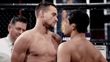 episode 4 ufc GIF