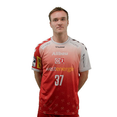 Handball Essen Sticker by DAIKIN HBL