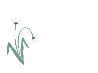 Spring Fruhling Sticker by Älgkram