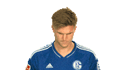 Schalke S04 Sticker by Bundesliga