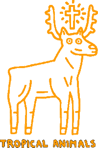 tropical-animals animals tropical tropical firenze tropical-animals Sticker