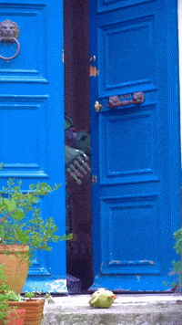 Fivenightsatfreddys GIF by Youtooz