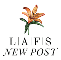 Republica Dominicana Design Sticker by Latin American Fashion Summit