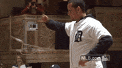 Major League Baseball What GIF by Detroit Tigers