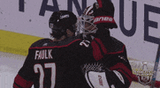 ice hockey GIF by NHL