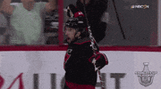 celebrate ice hockey GIF by NHL
