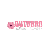 Rosa Flor Sticker by Grupopioneiro