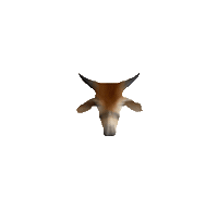 bullpec bullpec Sticker