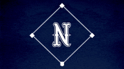 Baseball Softball GIF by Nevada Wolf Pack