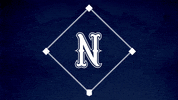 Baseball Softball GIF by Nevada Wolf Pack