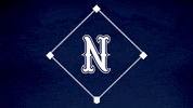 Baseball Softball GIF by Nevada Wolf Pack