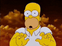 the simpsons homer GIF