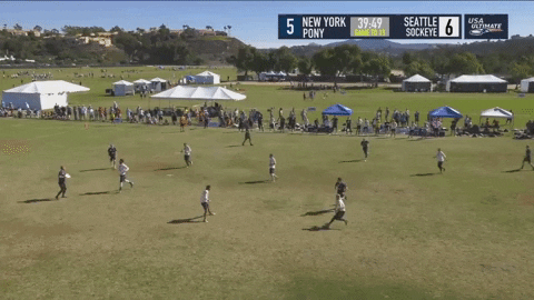 flikulti ultimate frisbee flik GIF