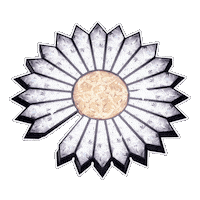 Peaceminusone Pmo Sticker