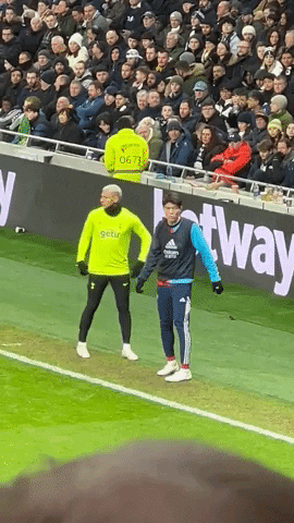 English Premier League Fight GIF by Storyful