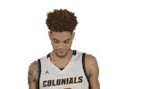 Western Connecticut State University Basketball Sticker by WCSU