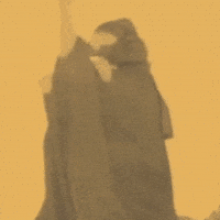 Dance Love GIF by JMSN