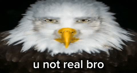 No Way Seriously GIF