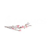 Flower Love Sticker by Didymos