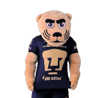 Proud Football Sticker by Pumas MX