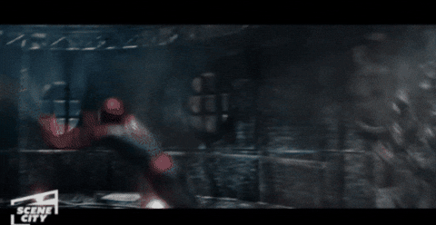 d4441 giphygifmaker GIF
