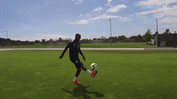 Soccer Futbol GIF by Brighton & Hove Albion Football Club
