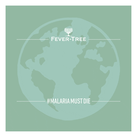 fevertreemixers giphyupload drink drinks glass GIF