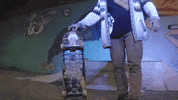 Skate Skatepark GIF by Greenplace TV