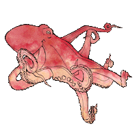 artbymr underwater octopus cephalopods seacreature Sticker