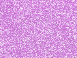 100 Percent Woman GIF by GIPHY Studios 2021