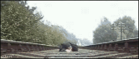 try GIF