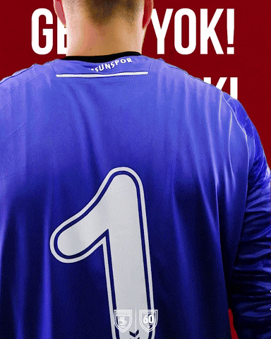 King Of The North GIF by SAMSUNSPOR