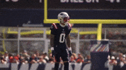 Football Nfl GIF by New England Patriots