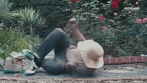 viceland GIF by Hamilton's Pharmacopeia