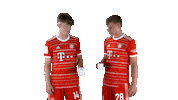 Good Morning Football Sticker by FC Bayern Munich