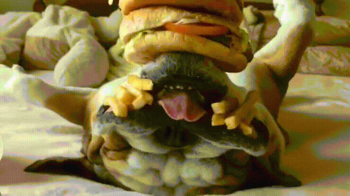 burger fries GIF