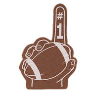 Touch Down Game Day Sticker by CopperheadDistillery