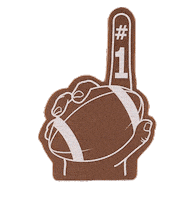 Touch Down Game Day Sticker by CopperheadDistillery