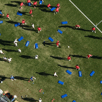 Bayer 04 Bundesliga GIF by Bayer 04 Leverkusen