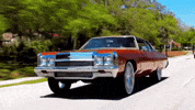 Donk Pull Up GIF
