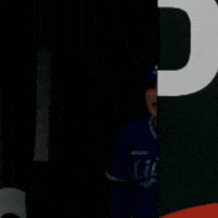 야구 GIF