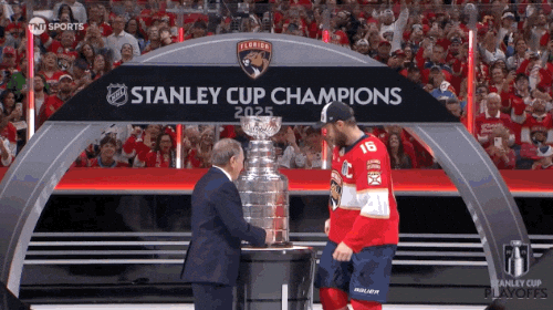 Stanley Cup Playoffs Win GIF by NHL