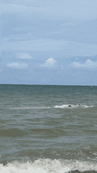 Foilcrash GIF
