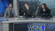 chicago lol GIF by WGN Morning News