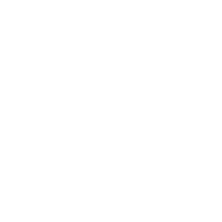 Adorno Kiwis Sticker