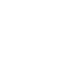 Estrella Adorno Sticker